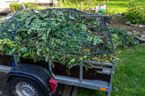 Best Yard Waste Removal  in Fayetteville, NY